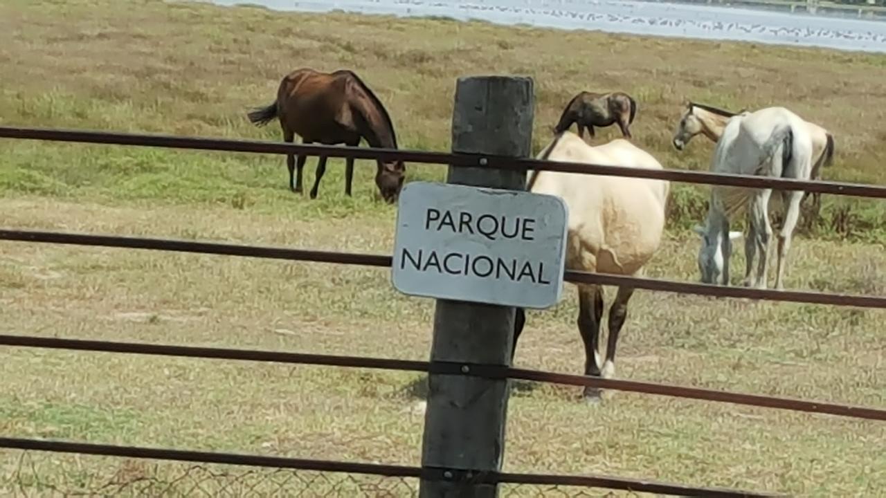 Hospedería Rural Las Buganvillas El Rocío Exterior foto